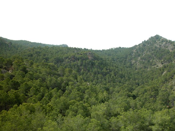 Medioambiente